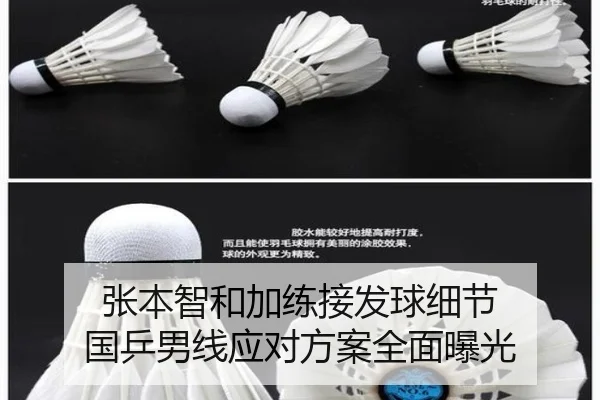 张本智和加练接发球细节 国乒男线应对方案全面曝光